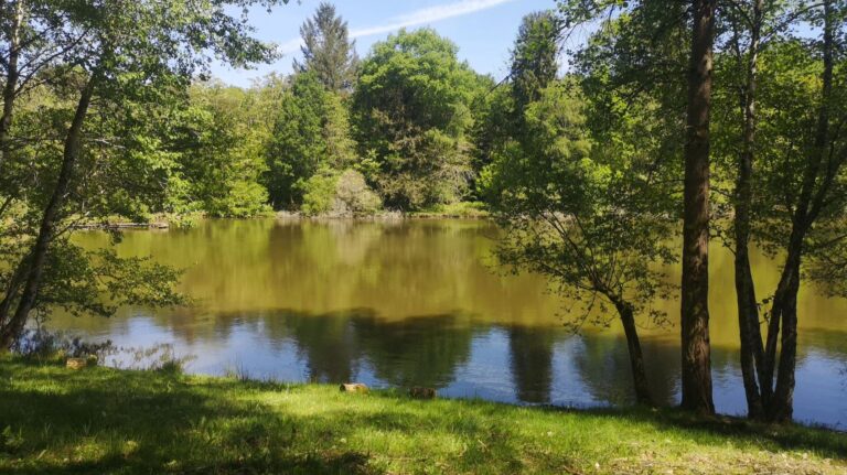 Spot de peche 1